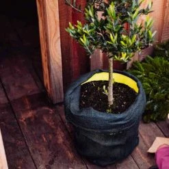 SIENA GARDEN Jute-Schutzsack, Farbe: Grün, Maße: 60x80cm 80cm -SIENA GARDEN Shop 20773179 5