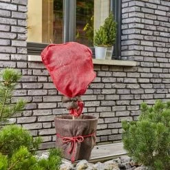 SIENA GARDEN Jute-Schutzsack, Rot, 110 X 60 Cm 60 Cm -SIENA GARDEN Shop 20773186 4