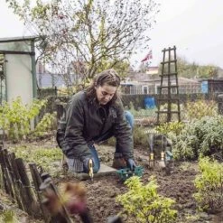 SIENA GARDEN Blumenzwiebel-Pflanzschale 30cm Rund Im 3er Set -SIENA GARDEN Shop 20773382 4