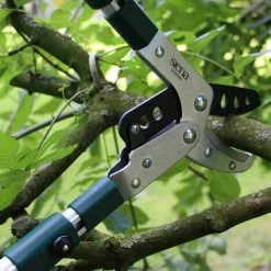 SIENA GARDEN Pro Alu Amboss Astschere 5-fach Teleskopierbar Gartenschere Rosenschere Schere -SIENA GARDEN Shop 20774018 3
