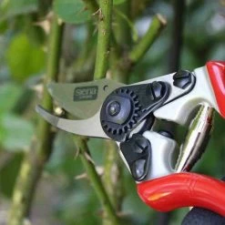 SIENA GARDEN Premium Alu-Bypassschere Kleiner Schneidkopf Gartenschere Astschere Baumschere 10 SIENA GARDEN Premium Alu-Bypassschere Kleiner Schneidkopf Gartenschere Astschere Baumschere -SIENA GARDEN Shop 20774419 4
