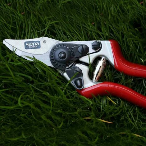 SIENA GARDEN Premium Alu-Bypassschere Kleiner Schneidkopf Gartenschere Astschere Baumschere 7 SIENA GARDEN Premium Alu-Bypassschere Kleiner Schneidkopf Gartenschere Astschere Baumschere – Bild 5