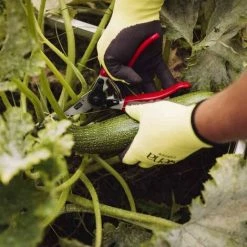 SIENA GARDEN Premium Alu-Bypassschere 21,5cm Gartenschere Astschere Schere Baumschere Garten 11 SIENA GARDEN Premium Alu-Bypassschere 21,5cm Gartenschere Astschere Schere Baumschere Garten -SIENA GARDEN Shop 20774420 5