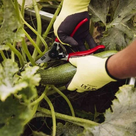 SIENA GARDEN Premium Alu-Bypassschere 21,5cm Gartenschere Astschere Schere Baumschere Garten 7 SIENA GARDEN Premium Alu-Bypassschere 21,5cm Gartenschere Astschere Schere Baumschere Garten – Bild 5