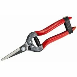 SIENA GARDEN Premium Lese-, Ernte- Und Blumenschere Länge: 19 Cm