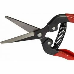 SIENA GARDEN Premium Lese-, Ernte- Und Blumenschere Länge: 19 Cm -SIENA GARDEN Shop 20776262 3