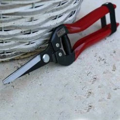 SIENA GARDEN Premium Lese-, Ernte- Und Blumenschere Länge: 19 Cm -SIENA GARDEN Shop 20776262 5