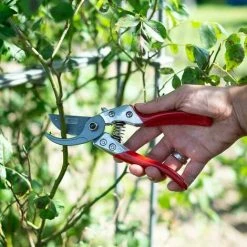 SIENA GARDEN Premium Bypassschere CG1030, Antihaftbeschichtete Klingen Mit Siena Beschichtung -SIENA GARDEN Shop 20777350 5