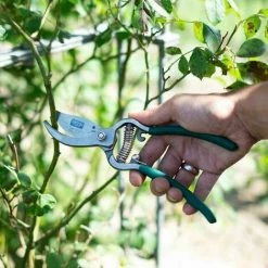 SIENA GARDEN Bypassschere Gartenschere Scheren Pflanzenschere Gartenarbeit Blumenschere Hecke 5 SIENA GARDEN Bypassschere Gartenschere Scheren Pflanzenschere Gartenarbeit Blumenschere Hecke -SIENA GARDEN Shop 20777353 4