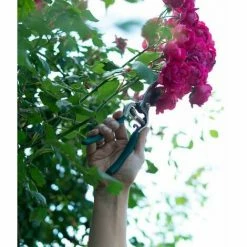SIENA GARDEN Bypassschere Gartenschere Scheren Pflanzenschere Gartenarbeit Blumenschere Hecke 6 SIENA GARDEN Bypassschere Gartenschere Scheren Pflanzenschere Gartenarbeit Blumenschere Hecke -SIENA GARDEN Shop 20777353 5