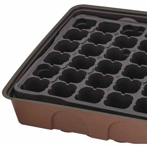 SIENA GARDEN Anzuchthaus XL 545x280x65 Mm Mit Topfplatte Mit 72 Töpfen Ø3,5 Cm 6 SIENA GARDEN Anzuchthaus XL 545x280x65 Mm Mit Topfplatte Mit 72 Töpfen Ø3,5 Cm – Bild 4