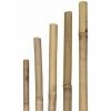 SIENA GARDEN Tonkinstäbe, 6/8 Mm X 75 Cm -SIENA GARDEN Shop 20781994 1