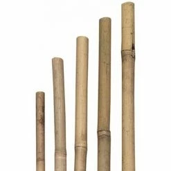 SIENA GARDEN Tonkinstäbe, 6/8 Mm X 90 Cm