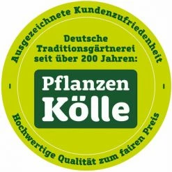 Siena Garden Viereckregner Mit Verstellmöglichkeiten -SIENA GARDEN Shop 30274734 4