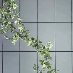 SIENA GARDEN Spalier 3-strebig, Braun Maße: 150x45cm