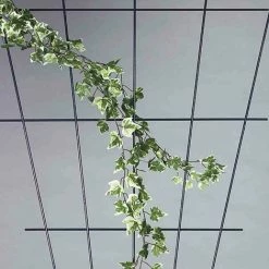 SIENA GARDEN Rosenspalier V-Form Braun 150 X 75 Cm