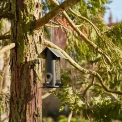 SIENA GARDEN Vogelfutterhaus Black Line Für Mischfutter, 24,5 Cm -SIENA GARDEN Shop 41373808 5