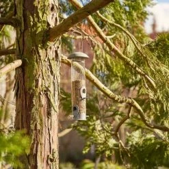 SIENA GARDEN Vogelfuttersäule Iron Line Für Mischfutter, 32,5cm -SIENA GARDEN Shop 41373818 5