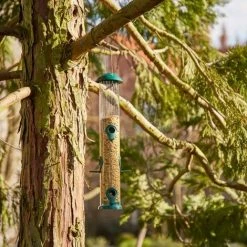 SIENA GARDEN Vogelfuttersäule Basic Line Für Mischfutter, 43 Cm 6 SIENA GARDEN Vogelfuttersäule Basic Line Für Mischfutter, 43 Cm -SIENA GARDEN Shop 41373873 5