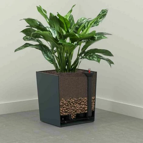 SIENA GARDEN Pflanzgefäß BREST, Weiß Hochglanzoptik, 25 X 25 X 26 Cm Kunststoffgefäß Mit Einsatz 4 SIENA GARDEN Pflanzgefäß BREST, Weiß Hochglanzoptik, 25 X 25 X 26 Cm Kunststoffgefäß Mit Einsatz – Bild 2