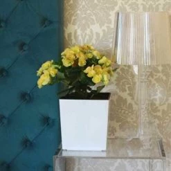 SIENA GARDEN Pflanzgefäß BREST, Weiß Hochglanzoptik, 25 X 25 X 26 Cm Kunststoffgefäß Mit Einsatz 10 SIENA GARDEN Pflanzgefäß BREST, Weiß Hochglanzoptik, 25 X 25 X 26 Cm Kunststoffgefäß Mit Einsatz -SIENA GARDEN Shop 41373910 4