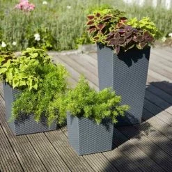 SIENA GARDEN Pflanzgefäß NIZZA, Graphit Rillenoptik, 25 X 25 X 46,5 Cm Kunststoffgefäß Mit Einsatz 11 SIENA GARDEN Pflanzgefäß NIZZA, Graphit Rillenoptik, 25 X 25 X 46,5 Cm Kunststoffgefäß Mit Einsatz -SIENA GARDEN Shop 41373937 5