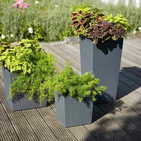 SIENA GARDEN Pflanzgefäß NIZZA, Graphit Rillenoptik, 25 X 25 X 46,5 Cm Kunststoffgefäß Mit Einsatz 7 SIENA GARDEN Pflanzgefäß NIZZA, Graphit Rillenoptik, 25 X 25 X 46,5 Cm Kunststoffgefäß Mit Einsatz – Bild 5