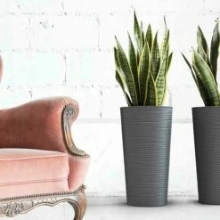 SIENA GARDEN Pflanzgefäß LOCON, Graphit Rillenoptik, Ø 30 X 57 Cm Kunststoffgefäß Mit Einsatz -SIENA GARDEN Shop 41373953 4