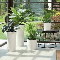 SIENA GARDEN Pflanzgefäß LENS, Weiß Rillenoptik, Ø 25 X 25,5 Cm Kunststoffgefäß Mit Einsatz -SIENA GARDEN Shop 41373954 4