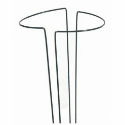 SIENA GARDEN Strauchstütze Grün 70 X 40 Cm, Beschichtet